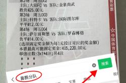 开云官网-关于阿贾克斯再度击败SBV,继续稳居荷甲积分榜首位的信息