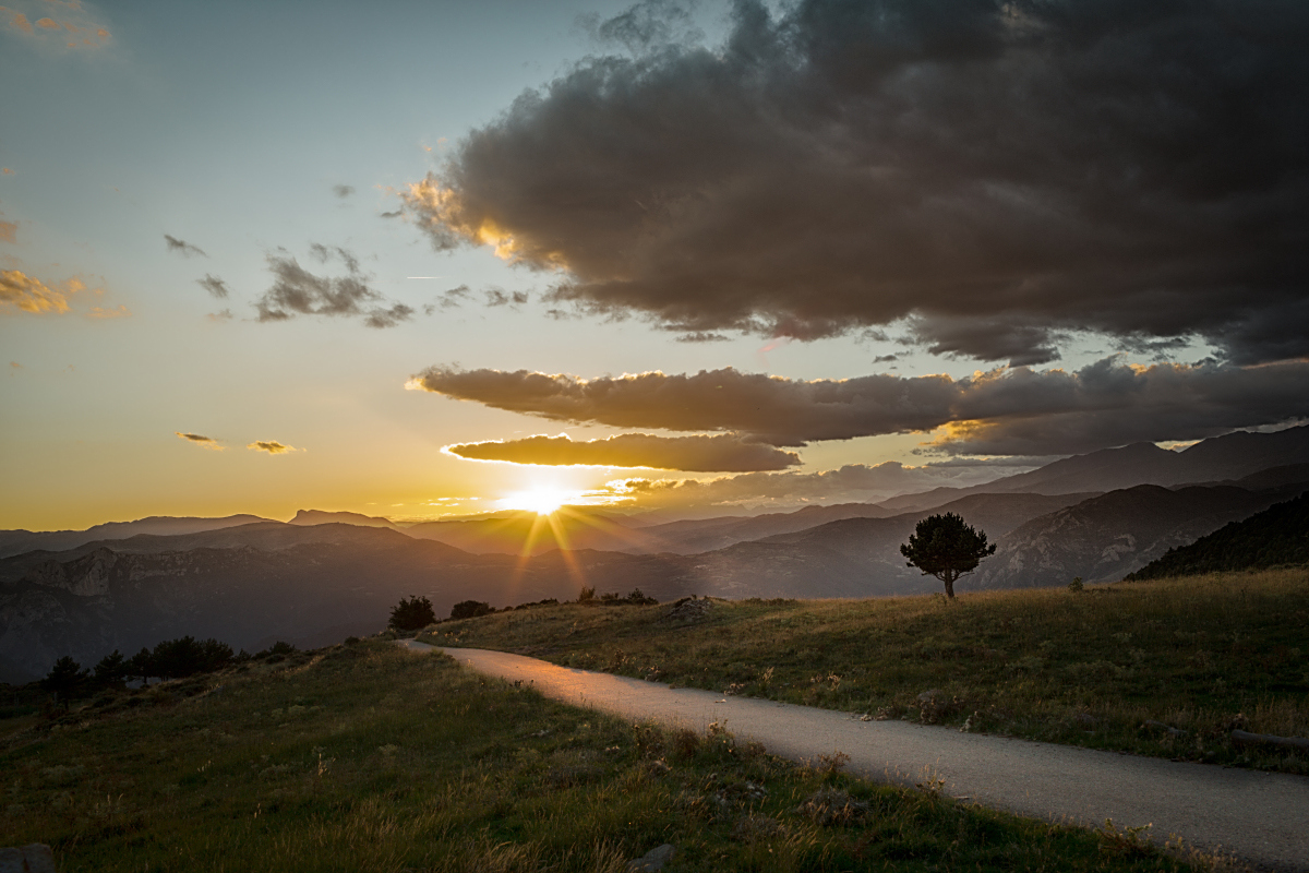 阿尔科伦球员经历挑战再赢得胜利 阿尔科伦球员经历挑战再赢得胜利